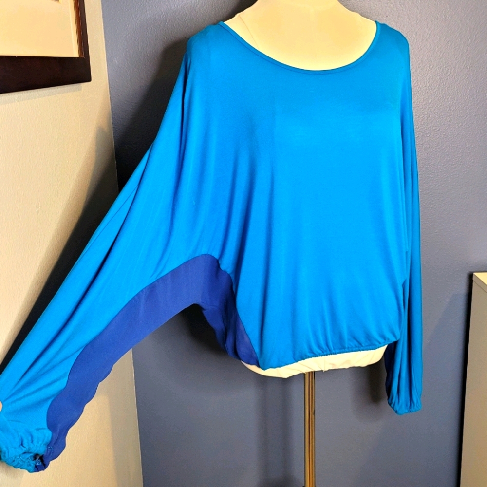 Bebe Dolman Long Sleeve Sheer Chiffon Panel Top
